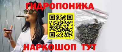 соль ск Камышлов