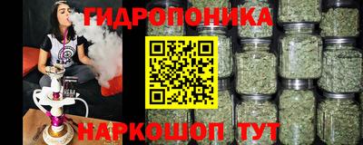 a pvp Кимры