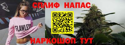 гидра Кандалакша
