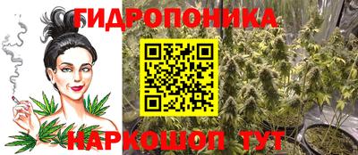 каннабис Кингисепп
