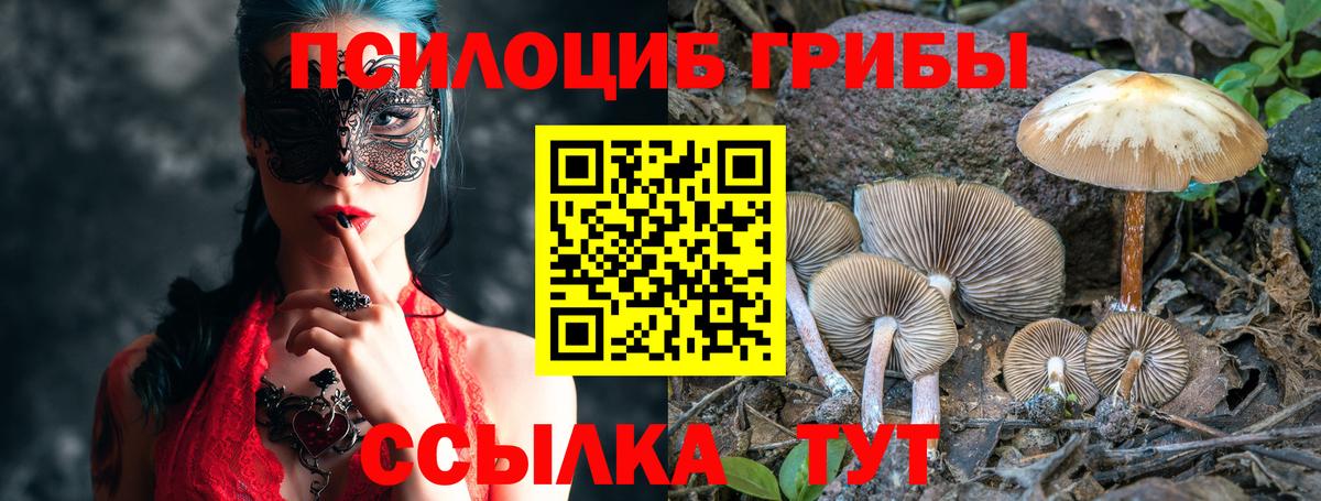 Псилоцибиновые грибы Psilocybine cubensis Керчь