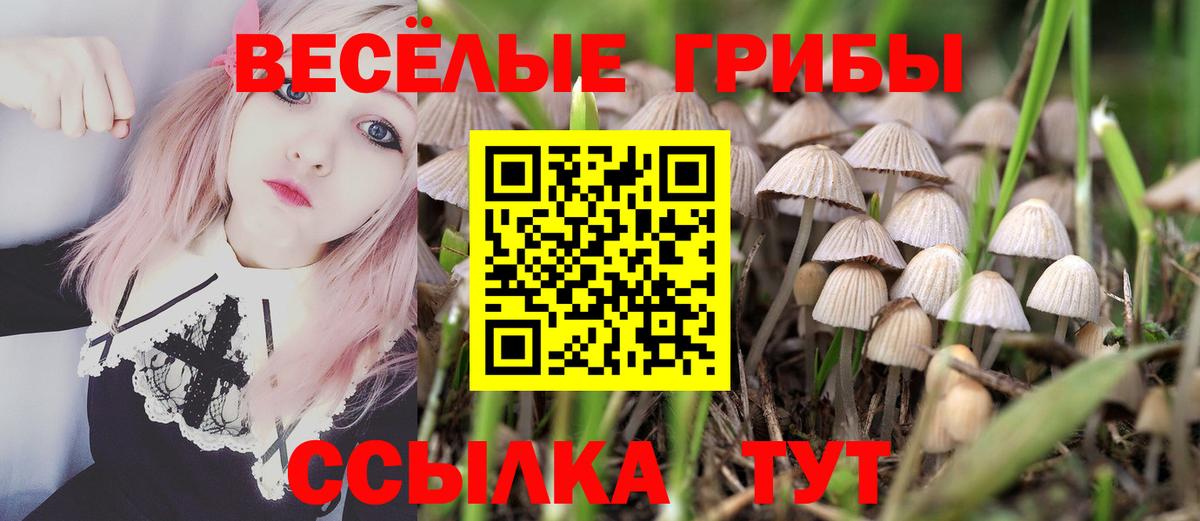 Керчь  Псилоцибиновые грибы Psilocybine cubensis  где можно купить   Вход с VPN  Галлюциногенные грибы прущие грибы 